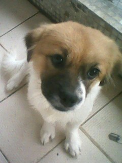 IMG1133A.jpg