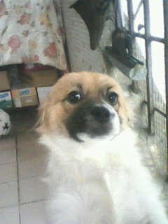 IMG1140A.jpg