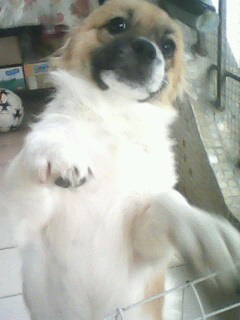 IMG1139A.jpg