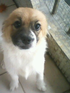 IMG1144A.jpg