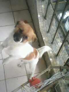 IMG1150A.jpg