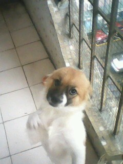 IMG1149A.jpg