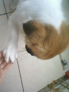 IMG1153A.jpg