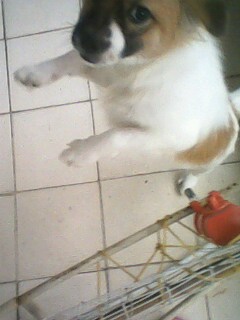 IMG1158A.jpg