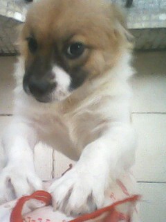 IMG1184A.jpg