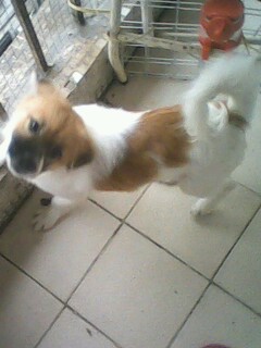 IMG1185A.jpg