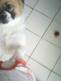 IMG1191A.jpg