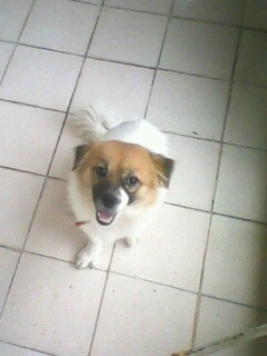 IMG1216A.jpg