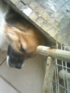 IMG1221A.jpg