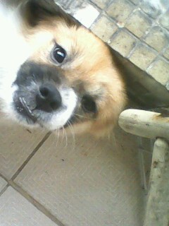 IMG1220A.jpg