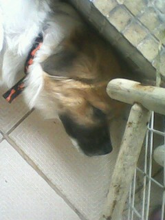 IMG1222A.jpg
