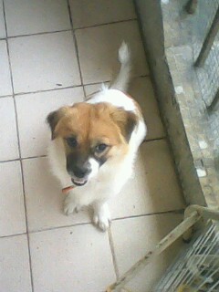 IMG1224A.jpg