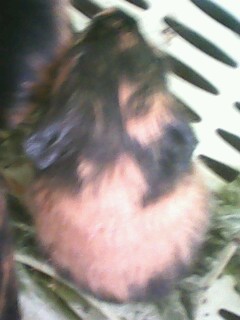 IMG1089A.jpg