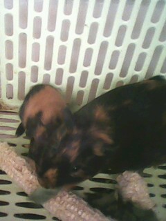 IMG1093A.jpg