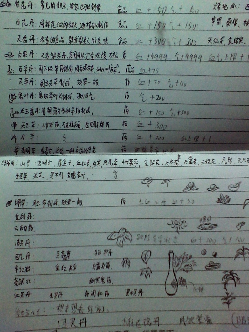 IMG0206094700.jpg