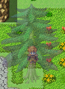 2.gif