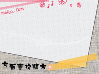 大狐.gif