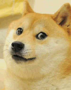 930212c3jw1egzpme9dqpg208c0aj7wh.gif