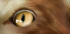 QQ截图20140609194753.png