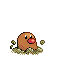 New.gif