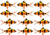 0792810542686_2.png
