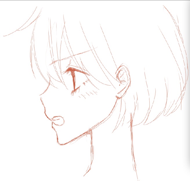 侧脸.jpg
