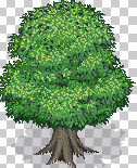 0003.png