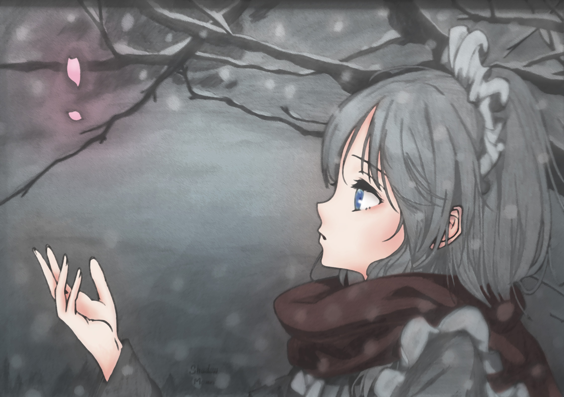 ShadowMomo_DColor.jpg