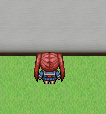 qiang.png