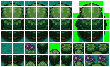 _tileset__cimmerian_forest_by_javspixels-d362iqn.png