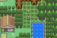 2i7o6tw.gif