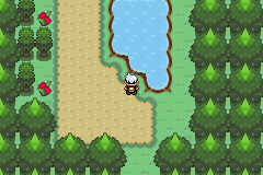 21kff68.gif