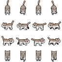 tori_neko_a.png