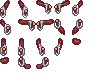 righthandImage_6.png