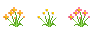 003.png