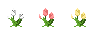 004.png