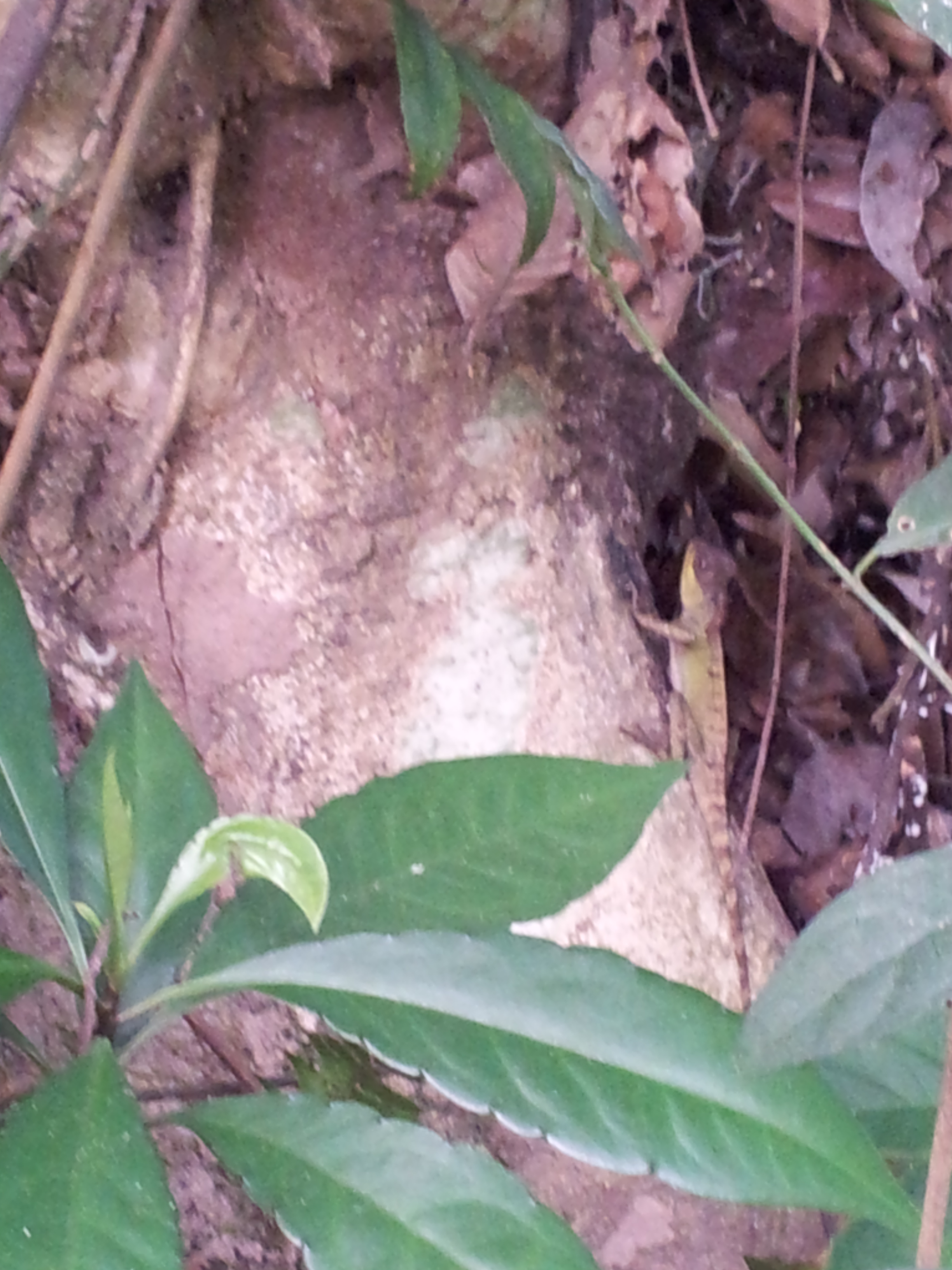 20140803_083457.jpg