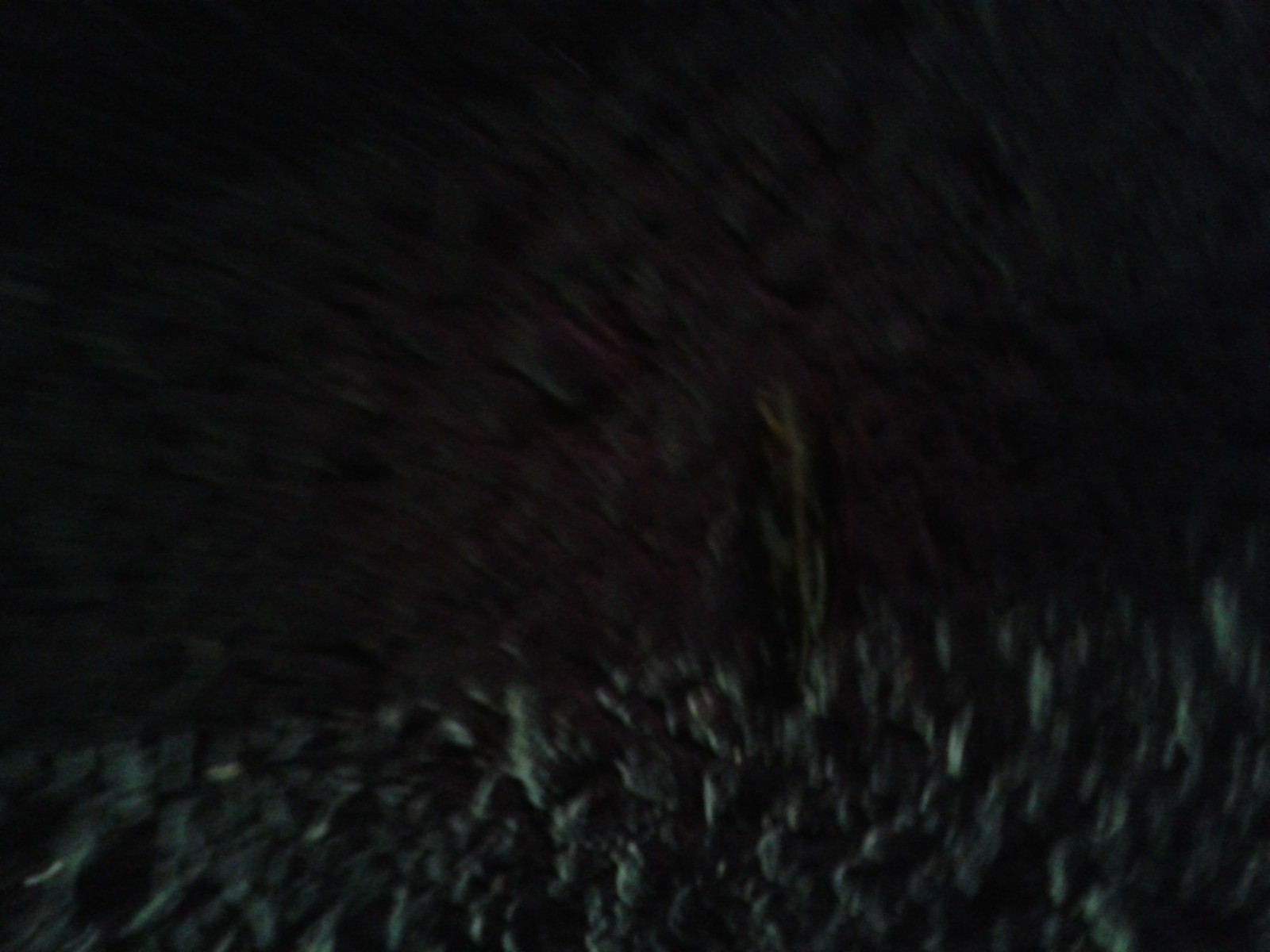 20140807_204823.jpg