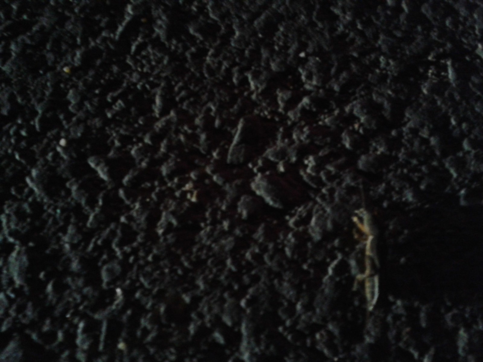 20140807_204827.jpg