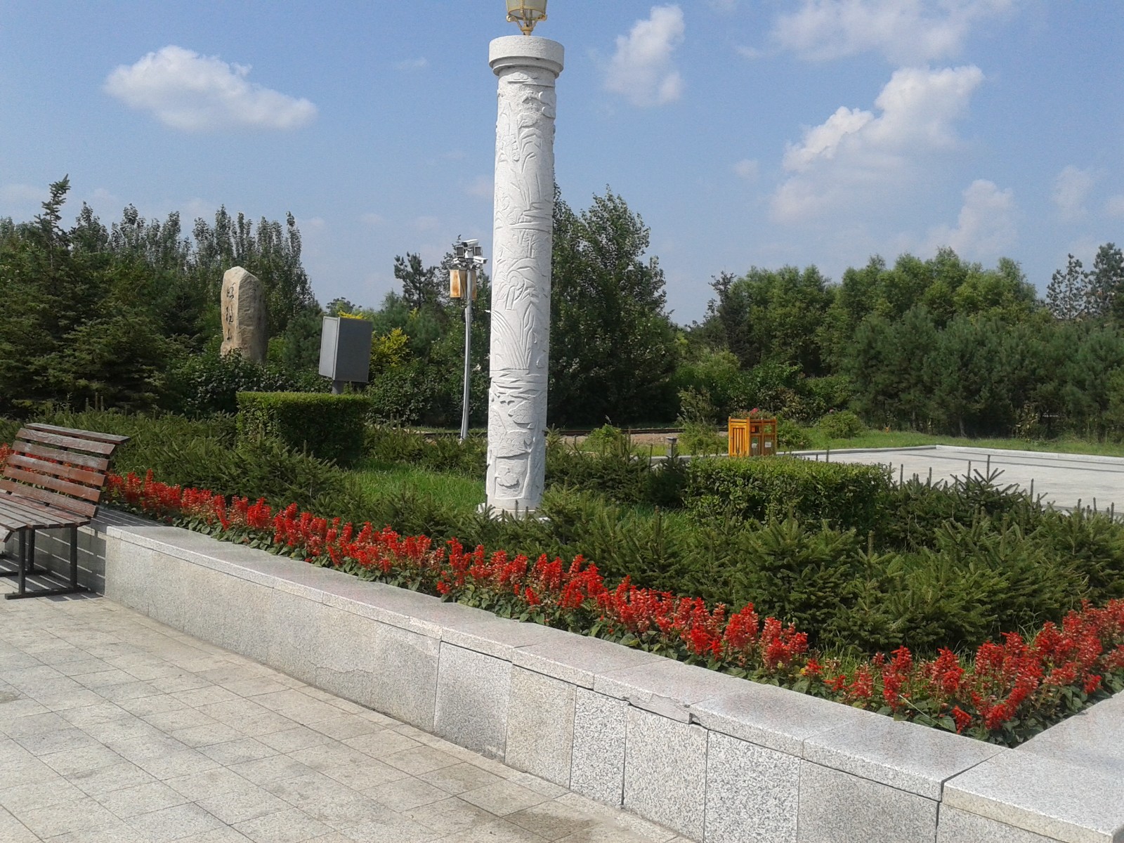 20140808_131106.jpg