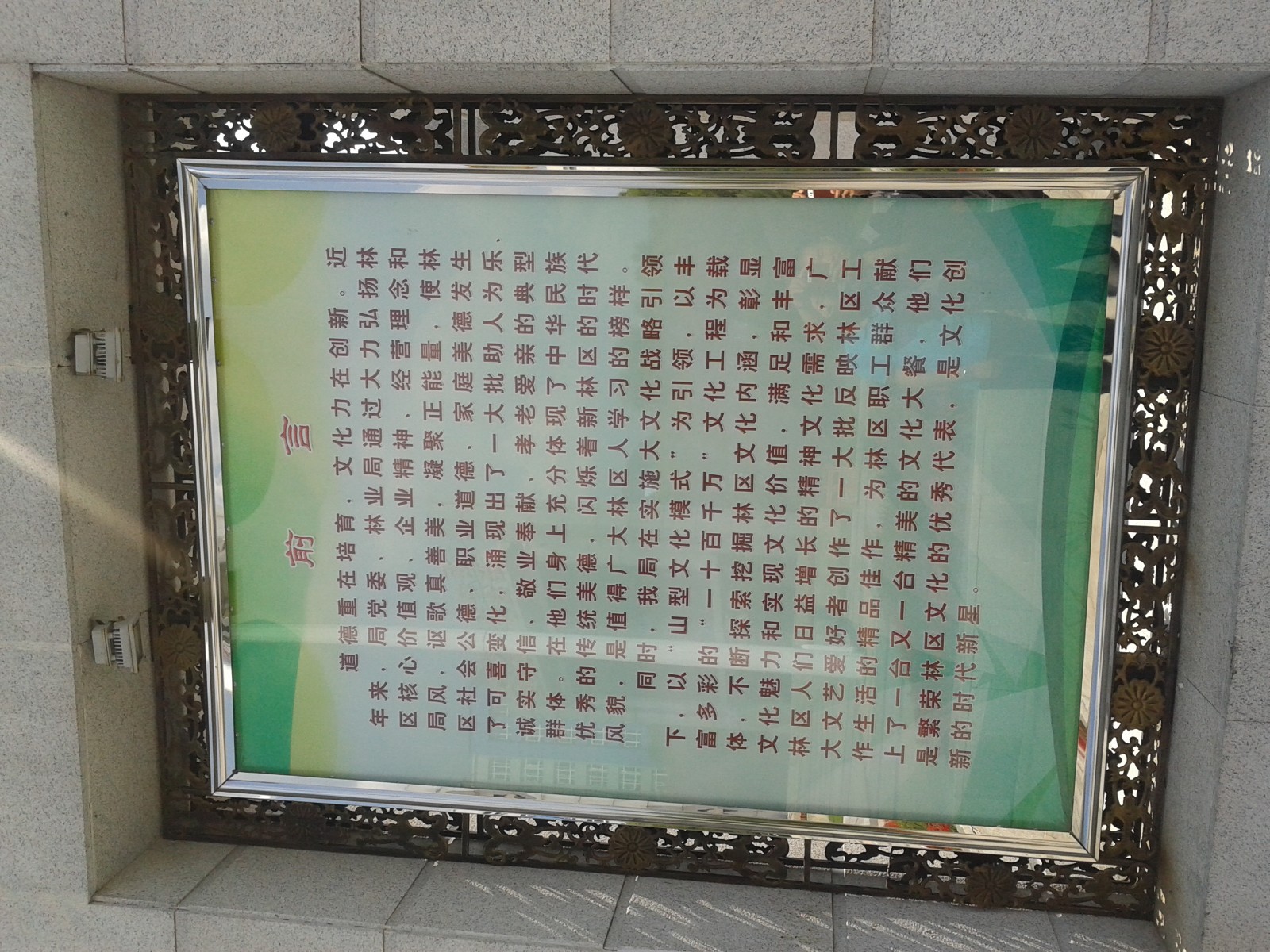 20140808_131149.jpg