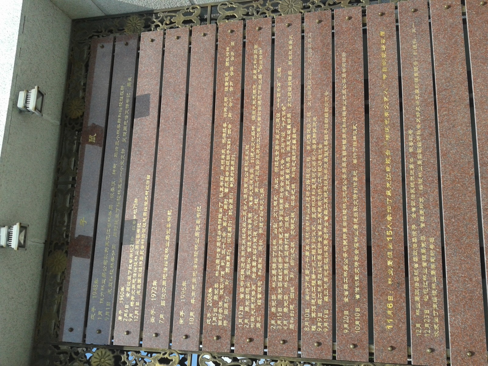 20140808_131204.jpg