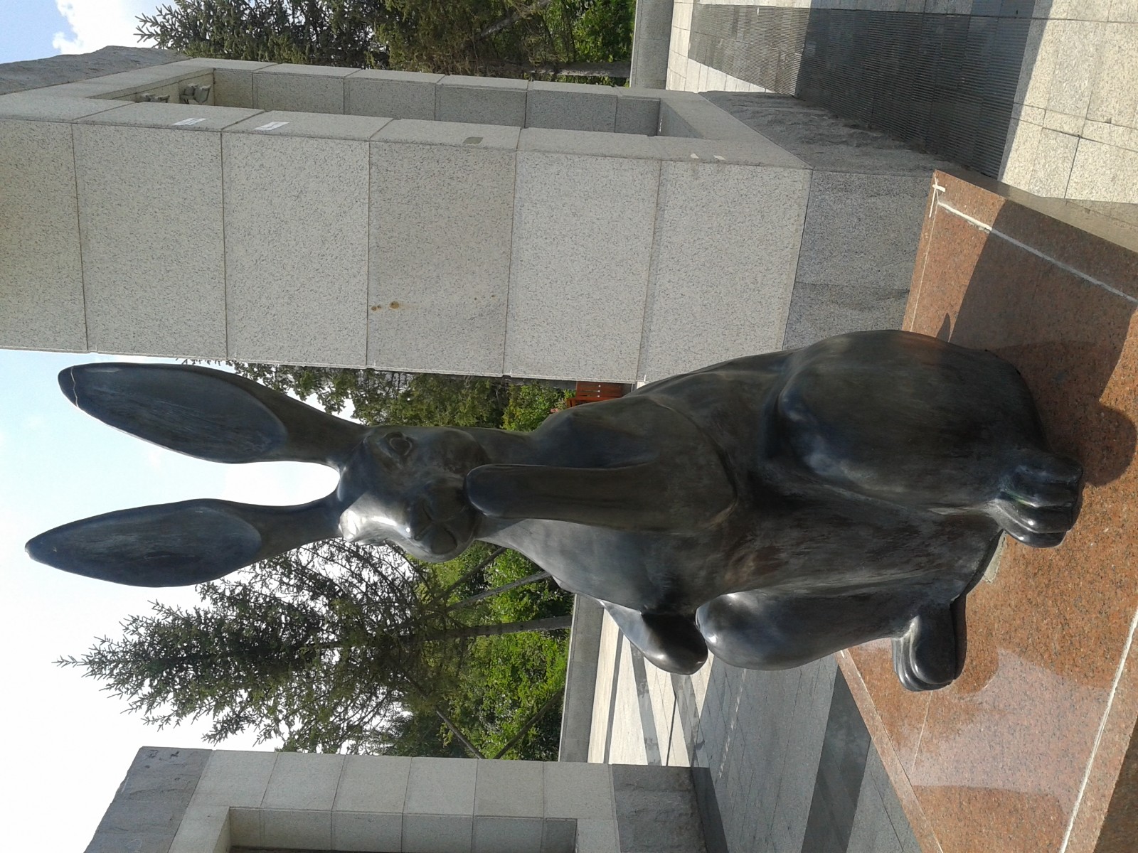 20140808_131227.jpg