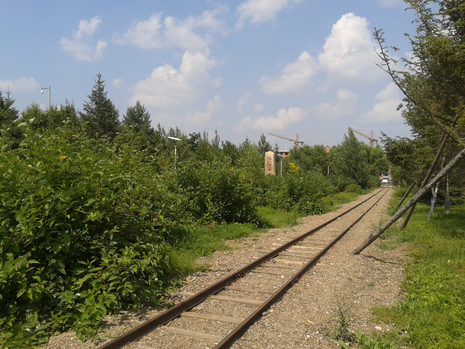 20140808_131258.jpg