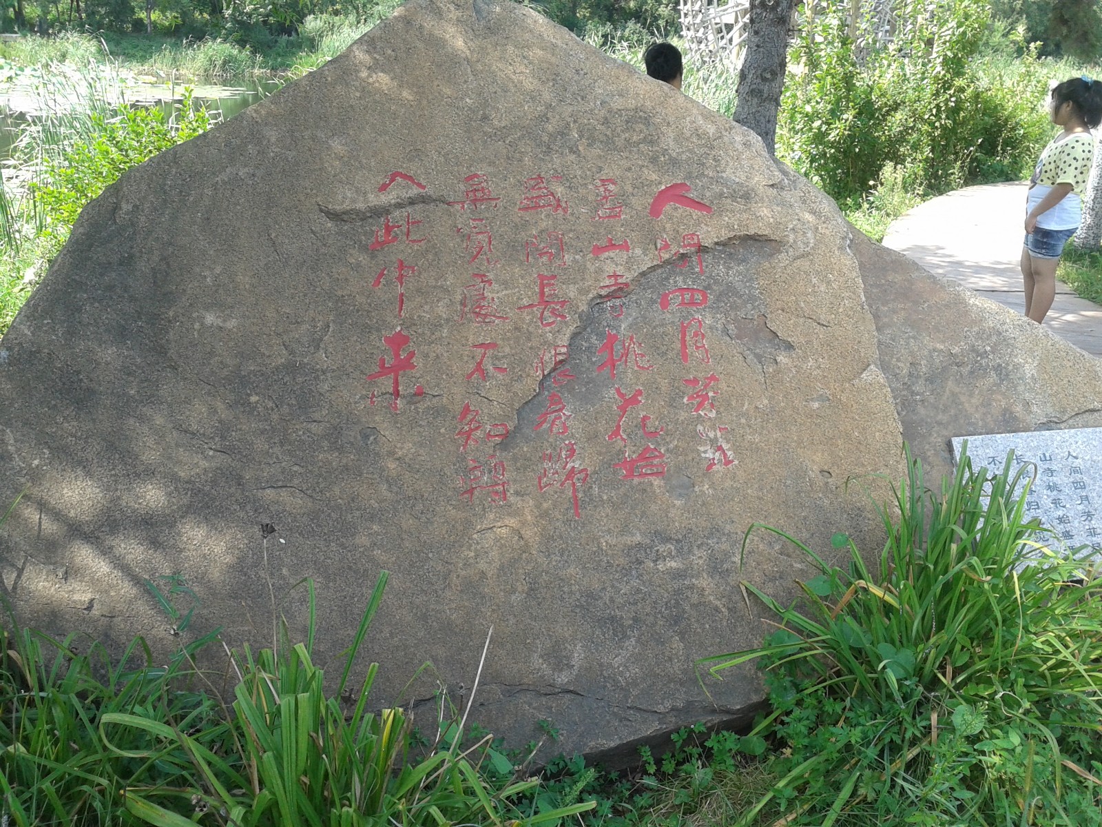 20140808_131429.jpg