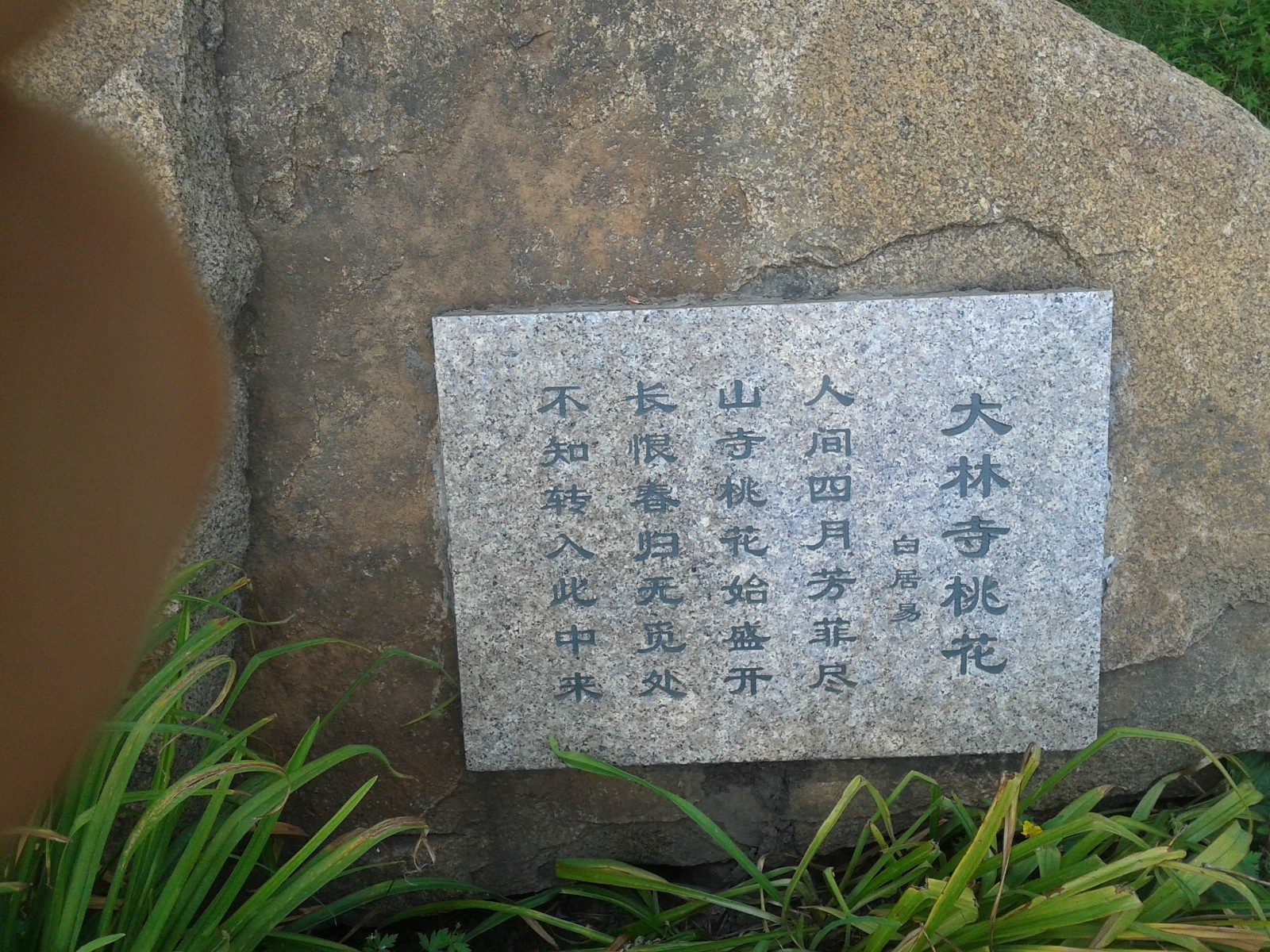 20140808_131435.jpg