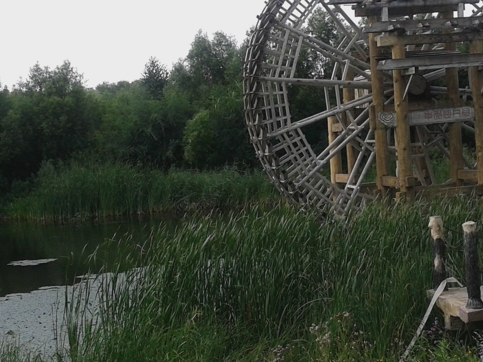 20140808_131744.jpg