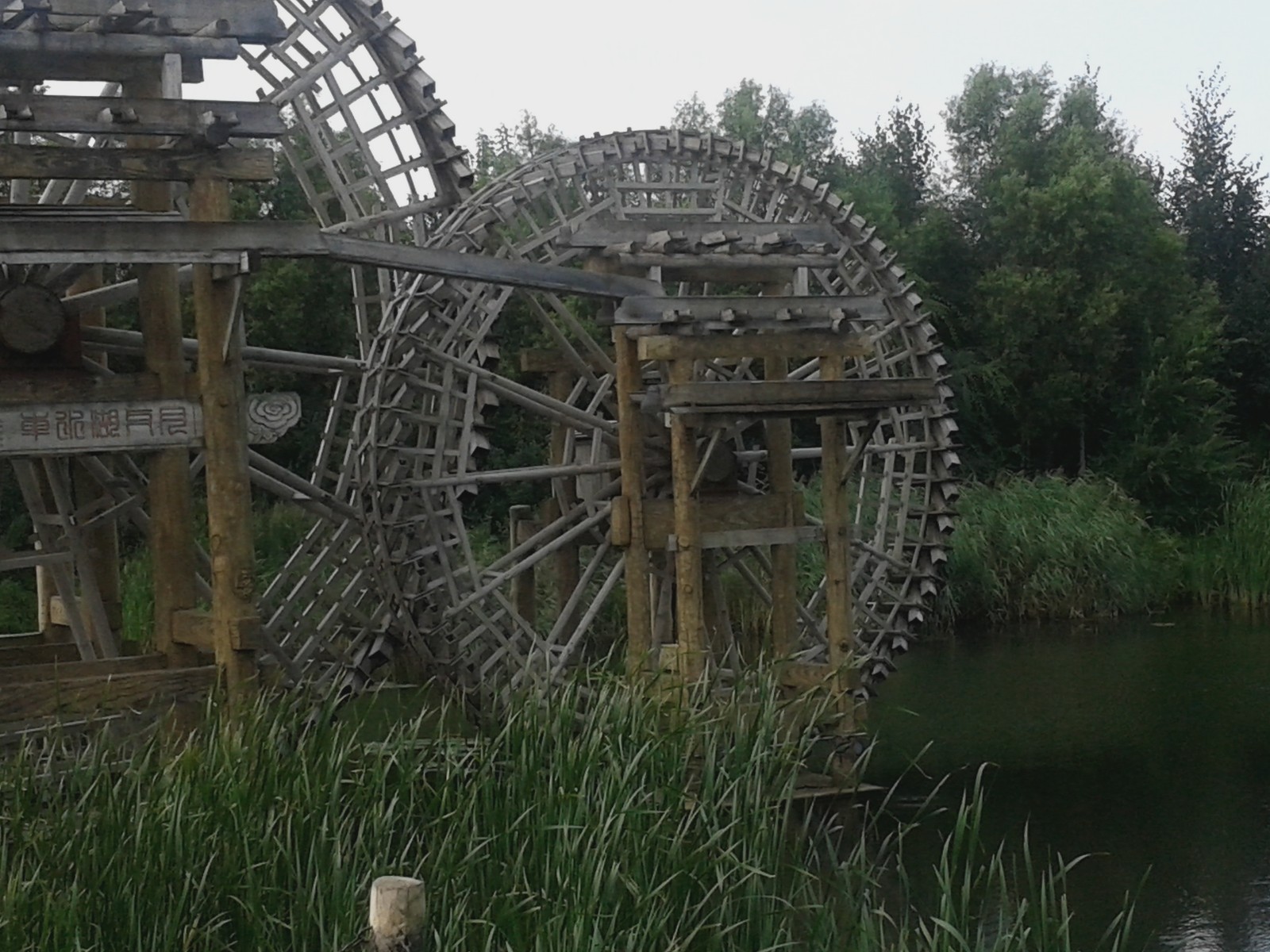 20140808_131802.jpg