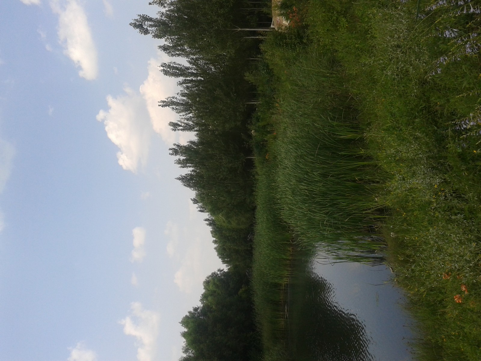20140808_131941.jpg