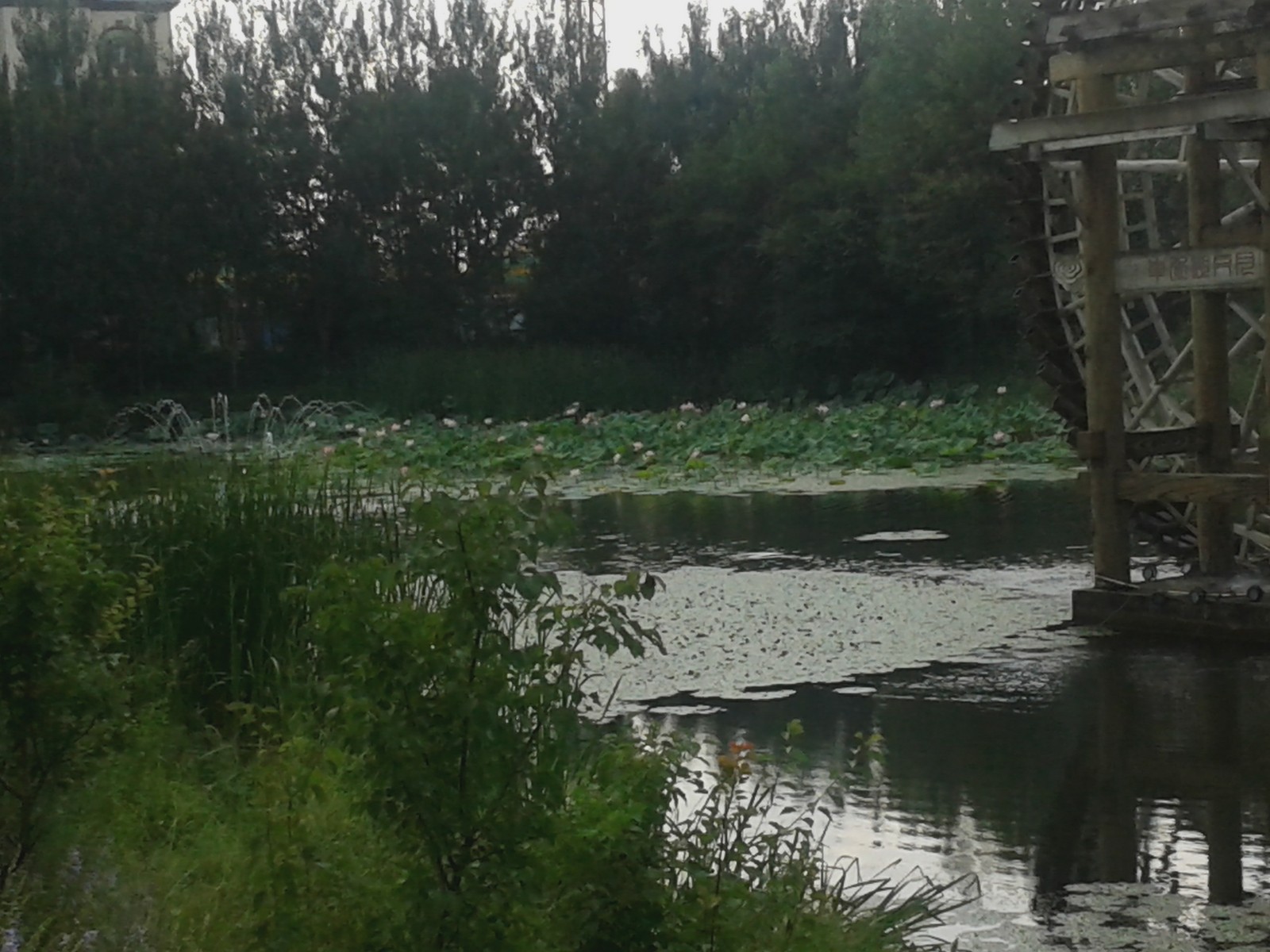 20140808_132009.jpg
